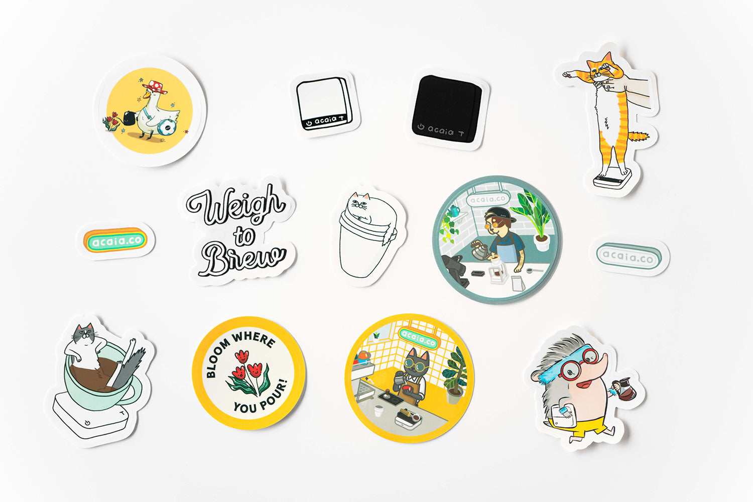 acaia-merch-sticker-set-aufkleber-13-designs image 2