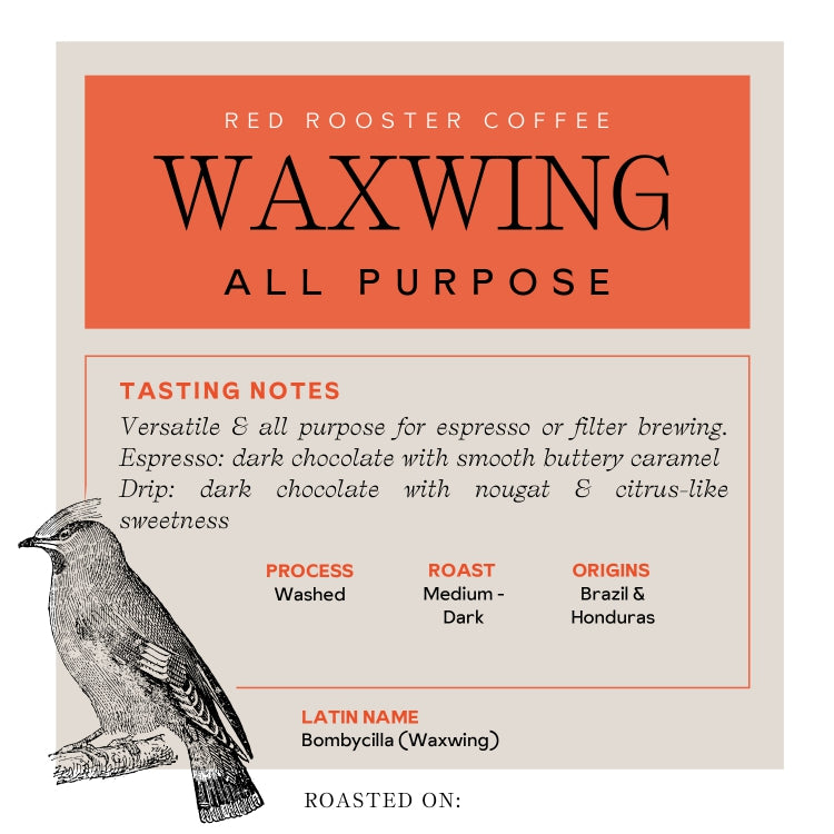 aeropress-coffee-waxwing-all-purpose-filterkaffee-340-g-fein image 6
