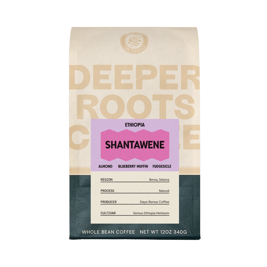 aeropress-coffee-ethiopia-shantawene-bio-kaffee-12-oz image 1