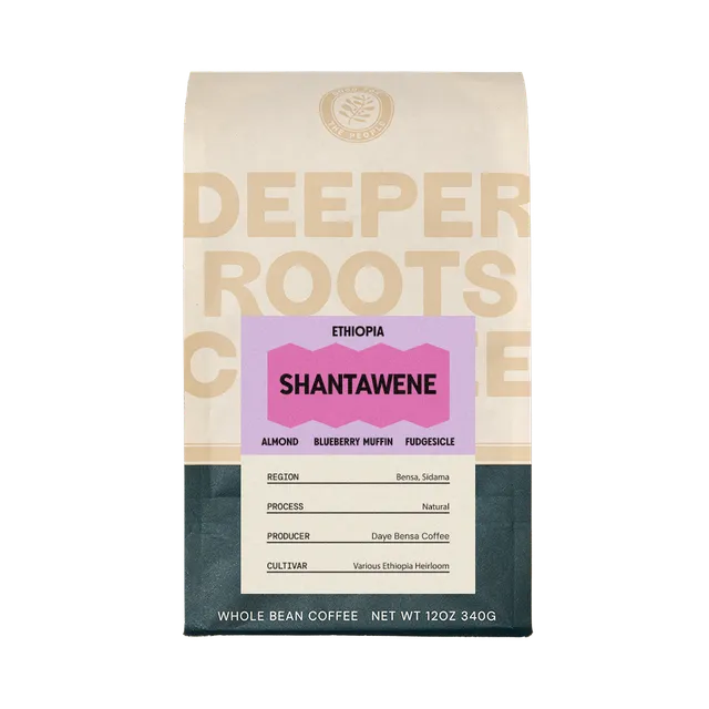 aeropress-coffee-ethiopia-shantawene-bio-kaffee-12-oz image 1