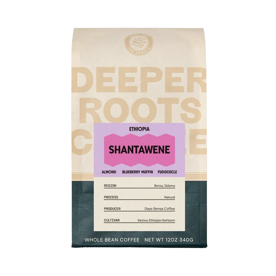 aeropress-coffee-ethiopia-shantawene-bio-kaffee-12-oz image 1