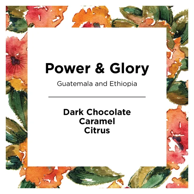 aeropress-power-glory-kaffee-bohne-11-oz-schoko image 1
