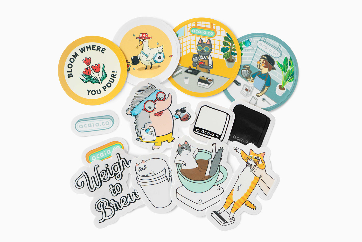 acaia-merch-sticker-set-aufkleber-13-designs image 1